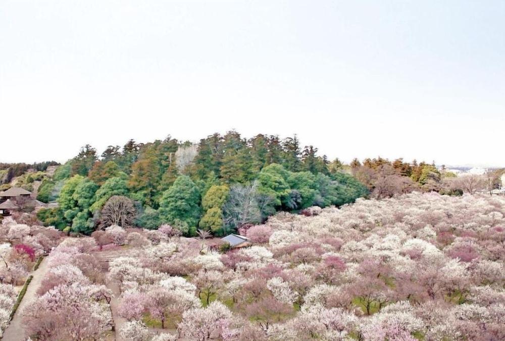 Mito Keisei Hotel ภายนอก รูปภาพ