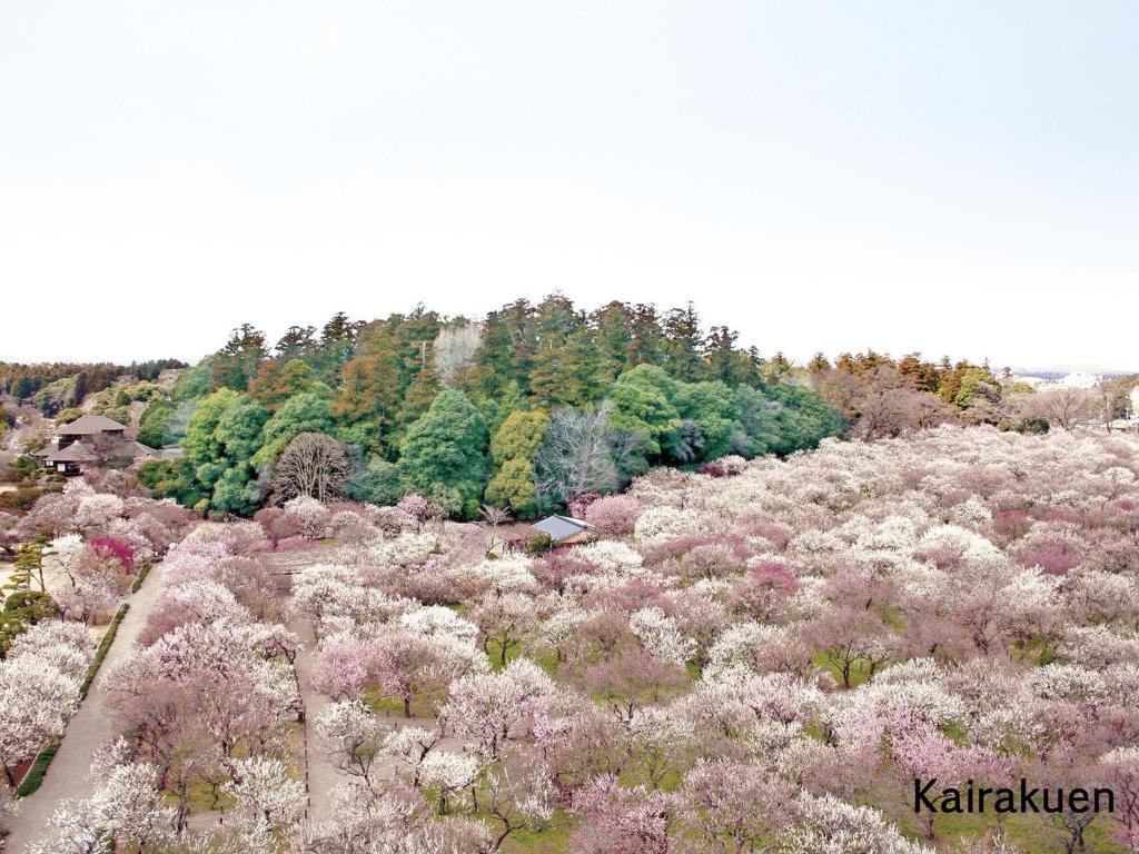 Mito Keisei Hotel ภายนอก รูปภาพ